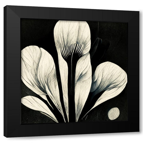 B013 Flowers Black White Black Modern Wood Framed Art Print by Heere, Ray