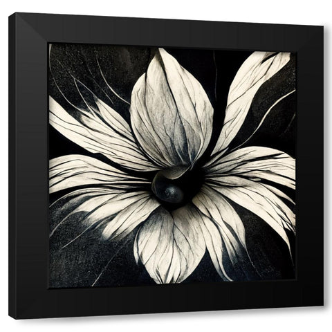 B019 Flowers Black White Black Modern Wood Framed Art Print with Double Matting by Heere, Ray