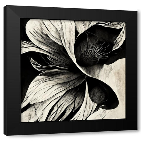 B020 Flowers Black White Black Modern Wood Framed Art Print by Heere, Ray