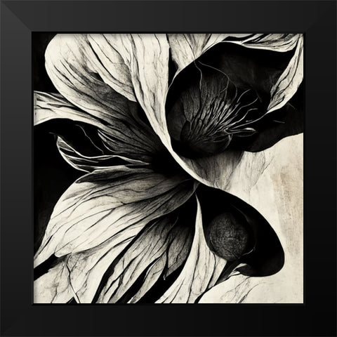 B020 Flowers Black White Black Modern Wood Framed Art Print by Heere, Ray