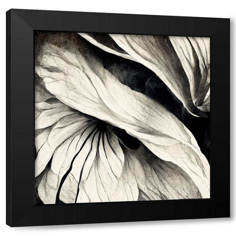 B024 Flowers Black White Black Modern Wood Framed Art Print with Double Matting by Heere, Ray