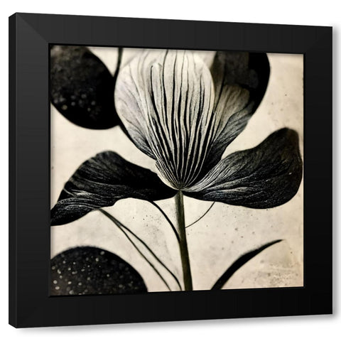 B026 Flowers Black White Black Modern Wood Framed Art Print by Heere, Ray