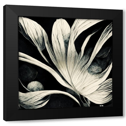 B029 Flowers Black White Black Modern Wood Framed Art Print by Heere, Ray