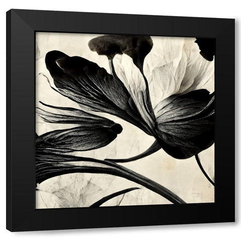 B033 Flowers Black White Black Modern Wood Framed Art Print by Heere, Ray