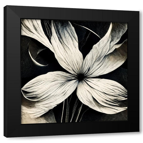 B036 Flowers Black White Black Modern Wood Framed Art Print by Heere, Ray