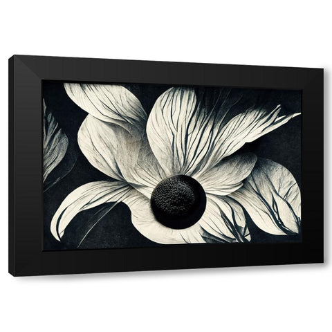 B059 Flowers Black White Black Modern Wood Framed Art Print with Double Matting by Heere, Ray