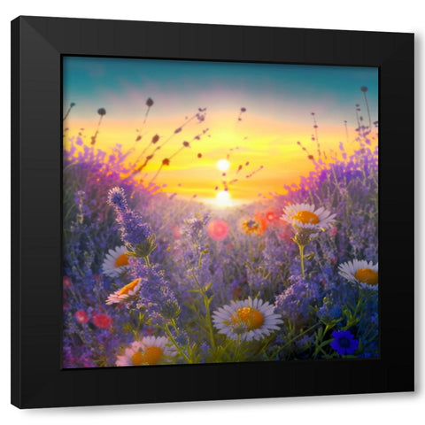 H002 Flowering Fields Black Modern Wood Framed Art Print with Double Matting by Heere, Ray