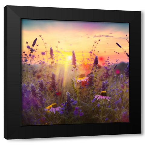 H003 Flowering Fields Black Modern Wood Framed Art Print by Heere, Ray