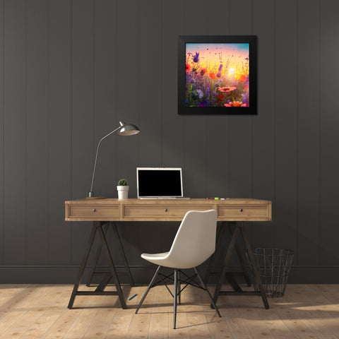 H004 Flowering Fields Black Modern Wood Framed Art Print by Heere, Ray
