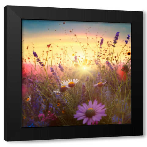 H007 Flowering Fields Black Modern Wood Framed Art Print by Heere, Ray