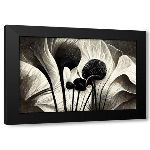 B064 Flowers Black White Black Modern Wood Framed Art Print with Double Matting by Heere, Ray