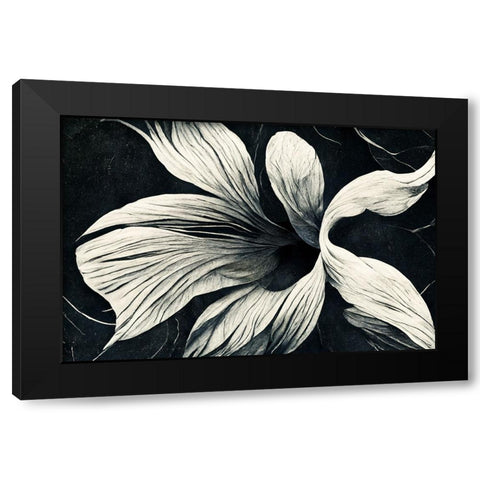 B070 Flowers Black White Black Modern Wood Framed Art Print by Heere, Ray