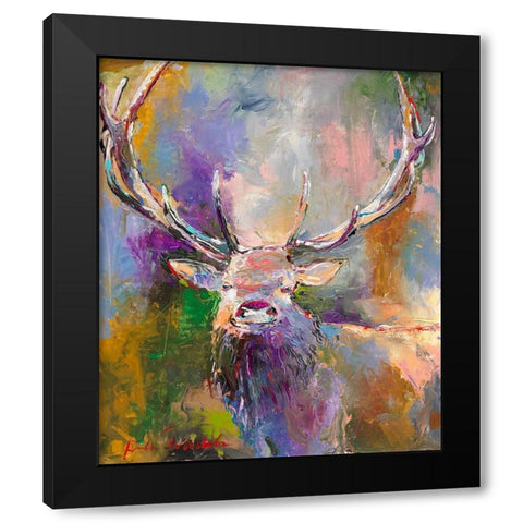 Buck Black Modern Wood Framed Art Print with Double Matting by Wallich, Richard