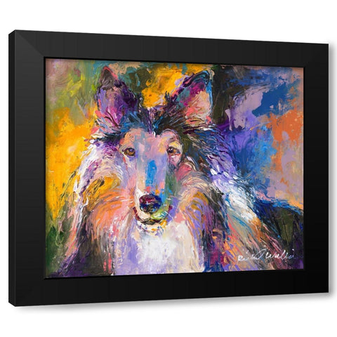 Collie Black Modern Wood Framed Art Print by Wallich, Richard