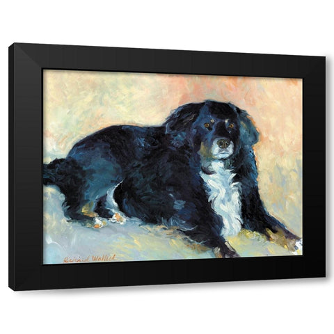 Harley Black Modern Wood Framed Art Print with Double Matting by Wallich, Richard