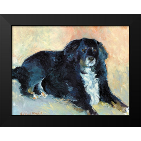 Harley Black Modern Wood Framed Art Print by Wallich, Richard