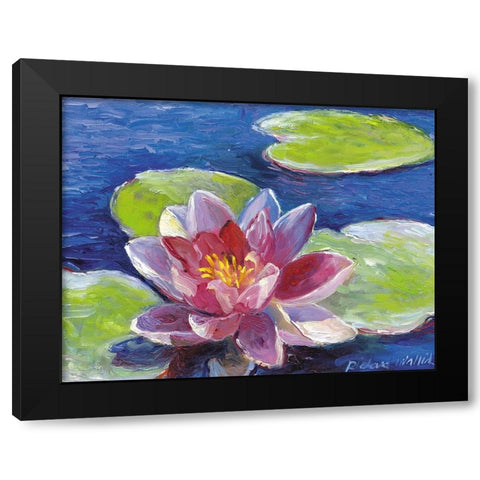 Lily Pad Flowers Black Modern Wood Framed Art Print with Double Matting by Wallich, Richard