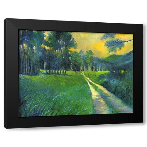 Crestone Path Black Modern Wood Framed Art Print by Wallich, Richard