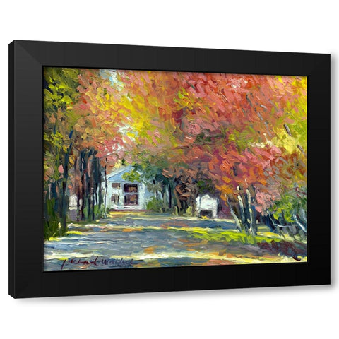 Ocean Park Black Modern Wood Framed Art Print with Double Matting by Wallich, Richard