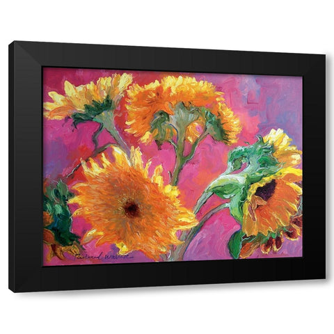 Sunflower Black Modern Wood Framed Art Print by Wallich, Richard
