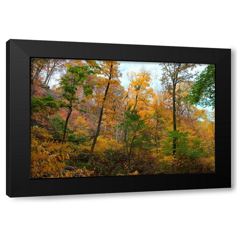 Inwood Manhattan Autumn Black Modern Wood Framed Art Print with Double Matting by Goldwitz, Robert