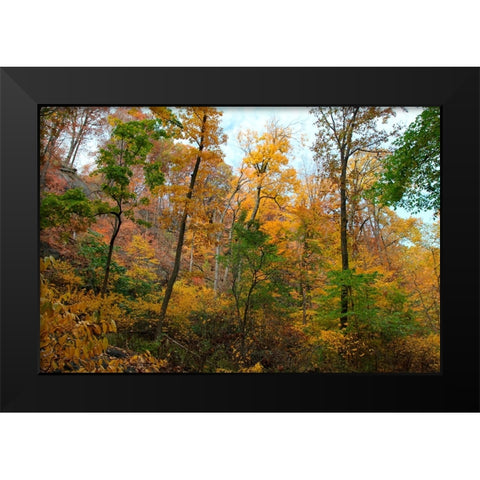 Inwood Manhattan Autumn Black Modern Wood Framed Art Print by Goldwitz, Robert