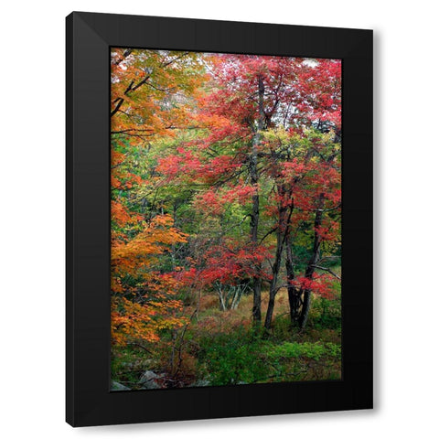 Minnewaskas Vertical 2010 Black Modern Wood Framed Art Print by Goldwitz, Robert