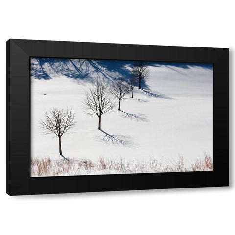 Winter Field Silhouettes Black Modern Wood Framed Art Print by Goldwitz, Robert