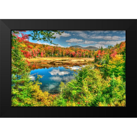 Adirondack Pond Black Modern Wood Framed Art Print by Goldwitz, Robert