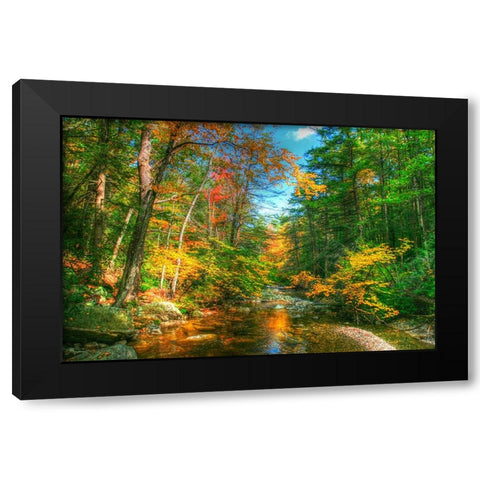 Autumn Brook Black Modern Wood Framed Art Print with Double Matting by Goldwitz, Robert