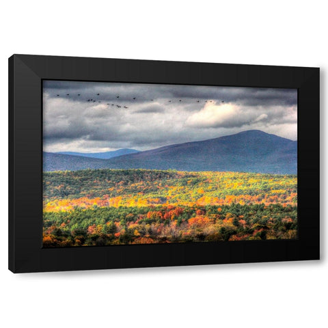 Flying South Black Modern Wood Framed Art Print with Double Matting by Goldwitz, Robert