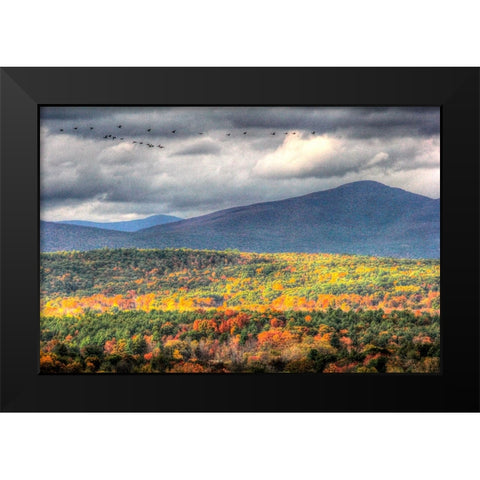 Flying South Black Modern Wood Framed Art Print by Goldwitz, Robert