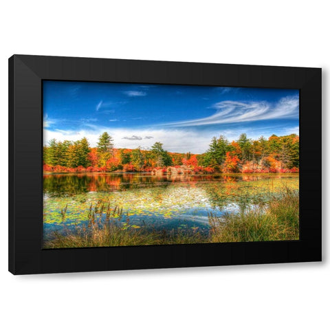 Harriman Pond Black Modern Wood Framed Art Print with Double Matting by Goldwitz, Robert
