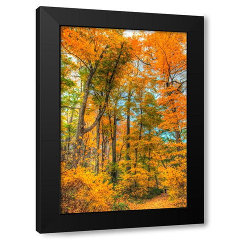 Inwood Park Vertical Black Modern Wood Framed Art Print with Double Matting by Goldwitz, Robert