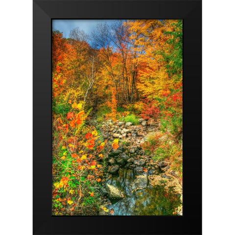 Low Water Brook Autumn Black Modern Wood Framed Art Print by Goldwitz, Robert
