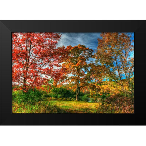 Tillson Lake Trees Black Modern Wood Framed Art Print by Goldwitz, Robert