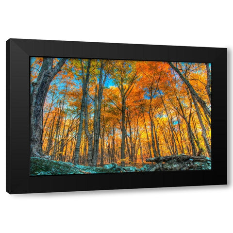 Winding Hills Park Black Modern Wood Framed Art Print with Double Matting by Goldwitz, Robert