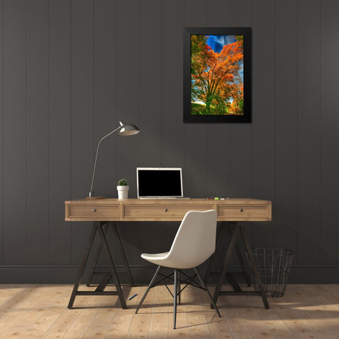 Autumn Borden Road Vertical Black Modern Wood Framed Art Print by Goldwitz, Robert
