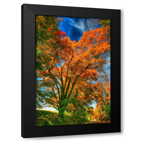 Autumn Borden Road Vertical Black Modern Wood Framed Art Print with Double Matting by Goldwitz, Robert