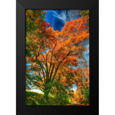 Autumn Borden Road Vertical Black Modern Wood Framed Art Print by Goldwitz, Robert