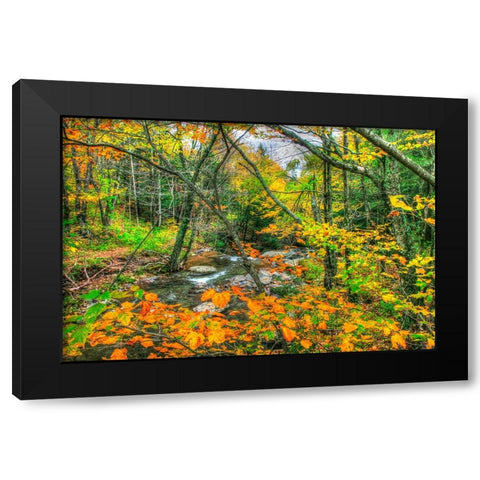 Fall Brook Orange Fo Black Modern Wood Framed Art Print by Goldwitz, Robert
