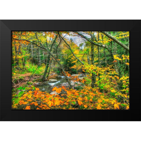 Fall Brook Orange Fo Black Modern Wood Framed Art Print by Goldwitz, Robert