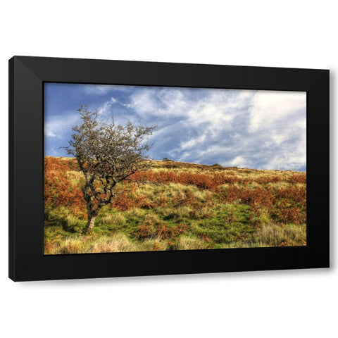 Wales Hillside and Sky Black Modern Wood Framed Art Print with Double Matting by Goldwitz, Robert