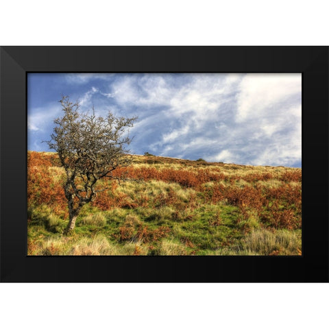 Wales Hillside and Sky Black Modern Wood Framed Art Print by Goldwitz, Robert