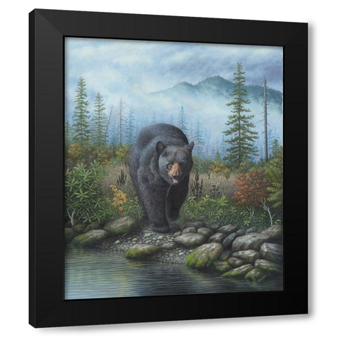 Smoky Mountain Black Bear Black Modern Wood Framed Art Print with Double Matting by Wavra, Robert