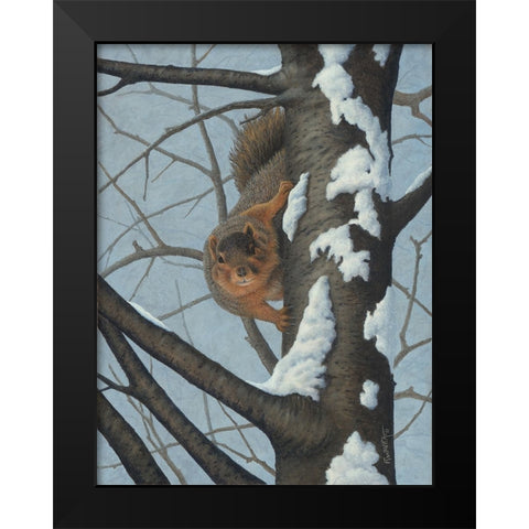 Whats Going On - Fox Squirrel Black Modern Wood Framed Art Print by Wavra, Robert