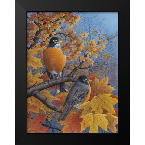 Robins Black Modern Wood Framed Art Print by Wavra, Robert