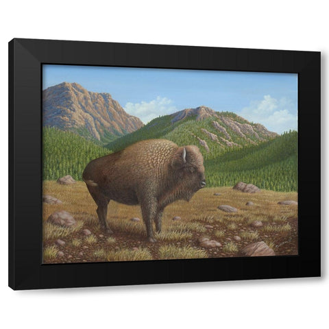 Bison Black Modern Wood Framed Art Print with Double Matting by Wavra, Robert