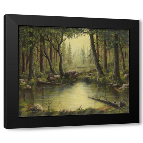 Evening at the Creek Black Modern Wood Framed Art Print with Double Matting by Wavra, Robert