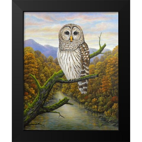 Barred Owl Black Modern Wood Framed Art Print by Wavra, Robert
